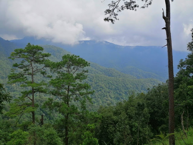 mae takhrai national park, mae takhrai, maetakhrai national park, maetakhrai, national parks in chiang mai, chiang mai national park, mae ta khrai national park