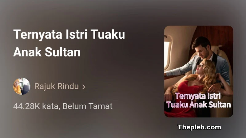 Novel Ternyata Istri Tuaku Anak Sultan Full Bab