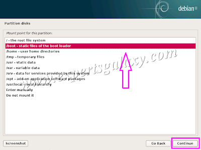 Debian Boot Partition Mount Point