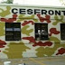 CESFRONT detien grupo de haitianos