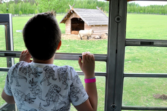 Zwierzyniec Górny  Park Safari w Bałtowie