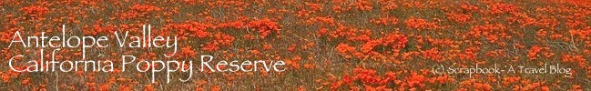 Antelope Valley California Poppy Reserve Lancaster