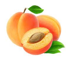   Apricot and hair health 