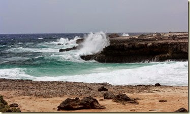 bonaireIMG_5323