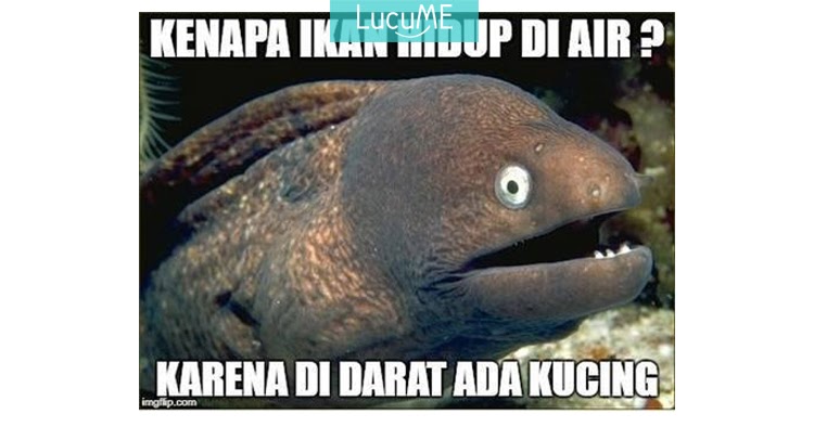 10 Meme 'Tebakan Hewan' Ini Walau Receh Tapi Bikin Ngakak 