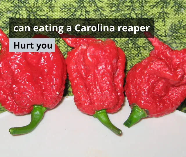 Can eating a Carolina reaper hurt you