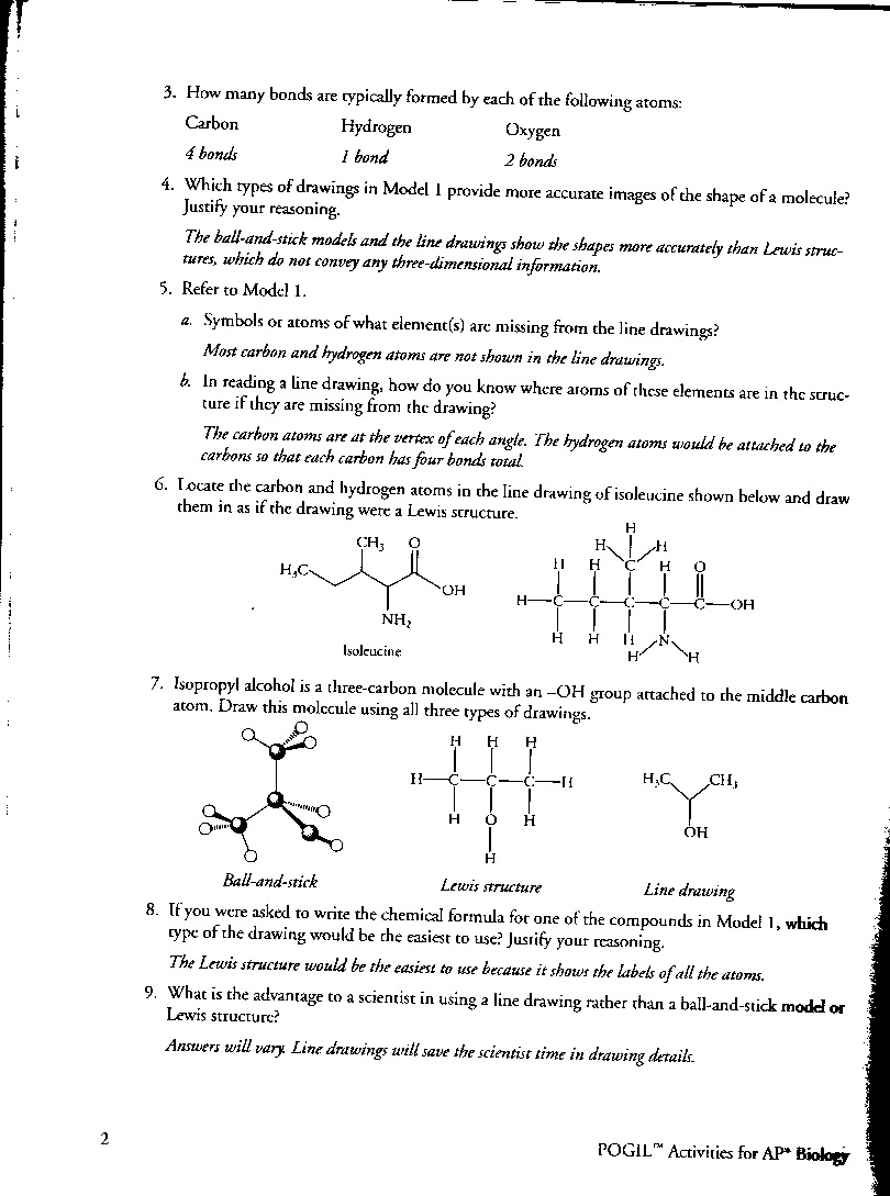 Biochemistry basics pogil answer key