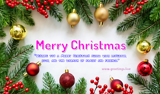 "Wishing you a Christmas season that sparkles with moments of love, laughter, and goodwill. Merry Christmas!"