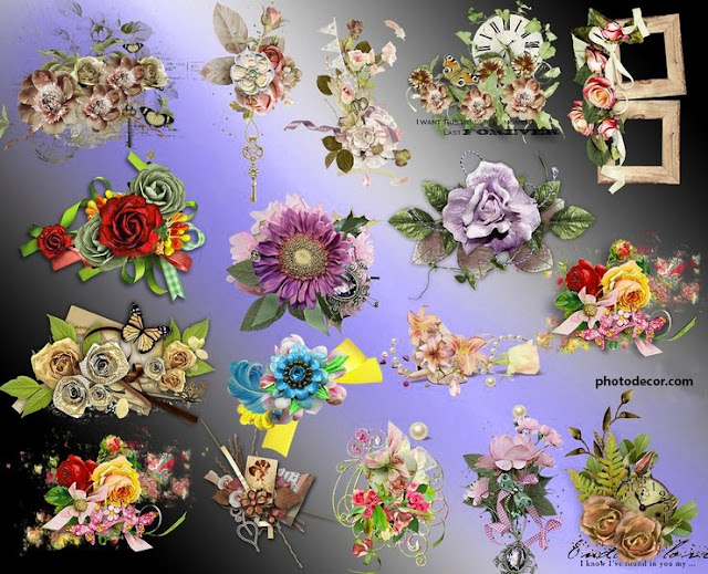 Most beautiful flower clusters clipart PNG