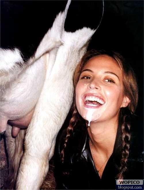 Fresh Milk