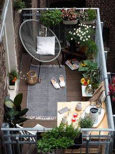 Flower garden in balcony