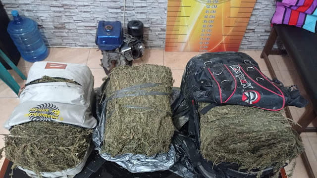 10 KG Ganja Nyaris Siap Edar, WS dan BS Harus Berurusan Dengan Penegak Hukum