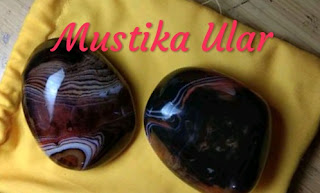 mustika ular