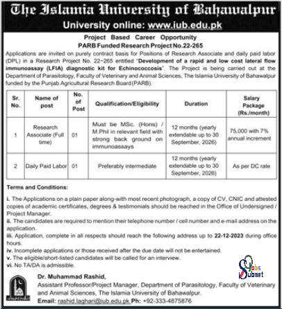 The Islamic University Of Bahawalpur Jobs 2023 online Apply