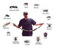 Ants control gurgaon   