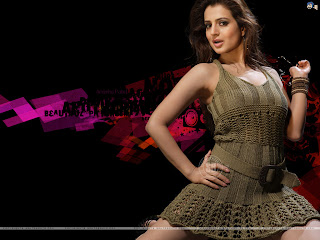 Amisha Patel 2011