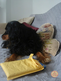 Molly Won A Prize & It Has Arrived!!!!!