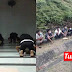 11 remaja tiada lesen dan topi keledar disaman, diarah solat jemaah dan tazkirah