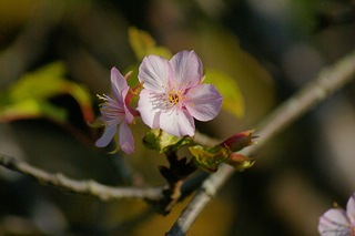 DSC05319