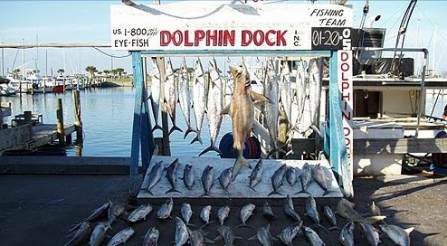 Deep  Fishing Port Aransas on Dolphin Dock Deep Sea Fishing Port Aransas Texas