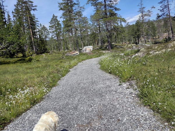 hallingdal flå turufjell stolpejakt