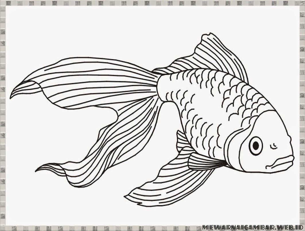 158 Download Gambar Sketsa Ikan Gudangsket