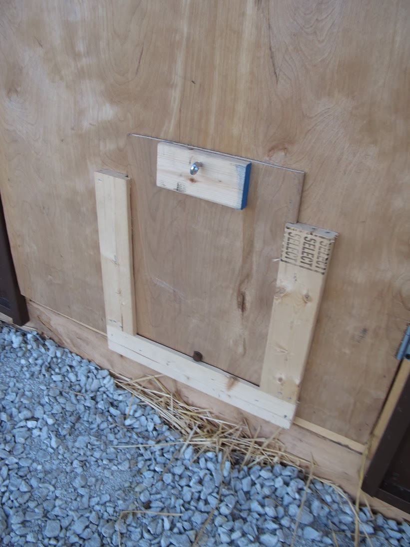 Chicken Door