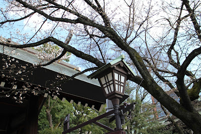 靖国神社　桜　春