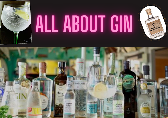 Latest & Complete Guide about Gin 