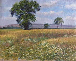 Grain fields in the Summer