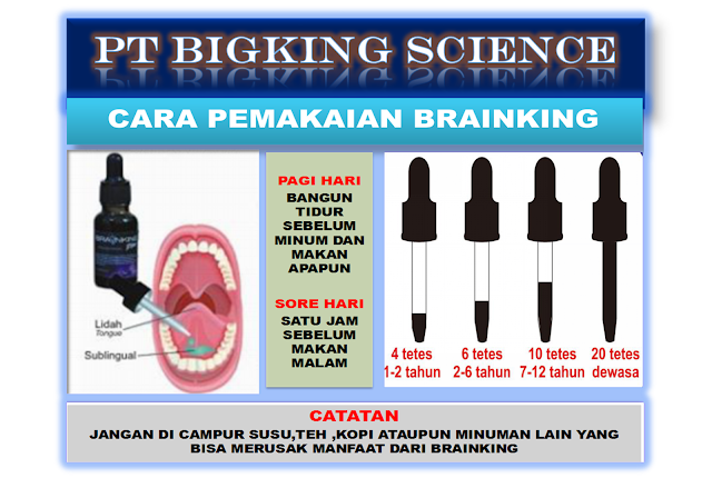 BRAINKING PLUS 08123 01 8900