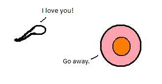 Sperm Meets Egg - I love you!