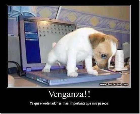 frases humor facebook (22)