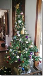 AndresCastagno_02 AndresCastagno_02