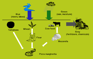 virtual water example with pizza margherita