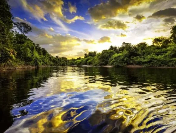 The Rise of Amazon River Temperature