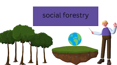 Natural Resources- Example, Definition, Types, In Full Detail