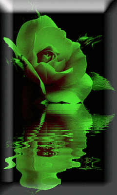 Reflecting Roses 3D LiveWP 