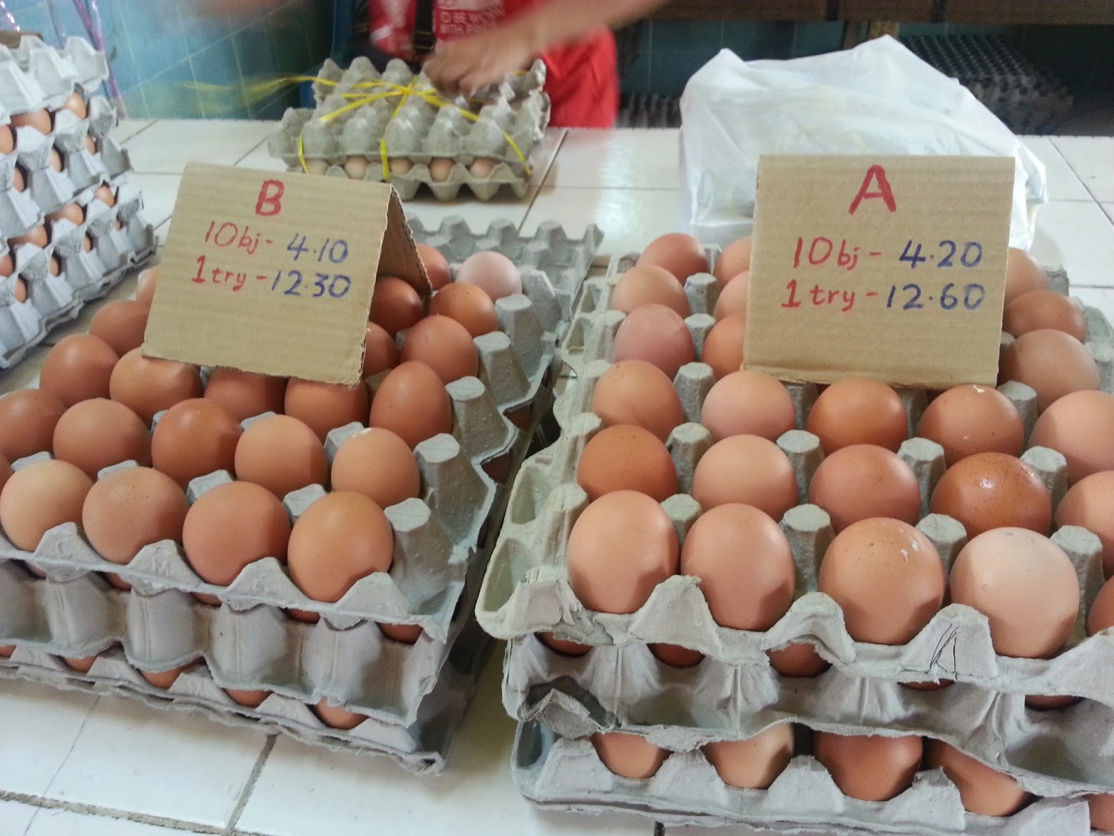 Harga Telur Ayam Yogyakarta Harga Telur Terbaru Update Harga Telur Info Harga Telur Prediksi Harga Telur Terbaru Hari Ini 