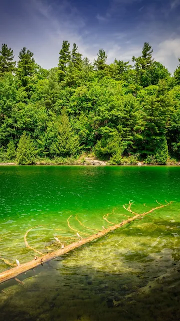 HD Wallpaper Green River, Trees, Nature, Landscape