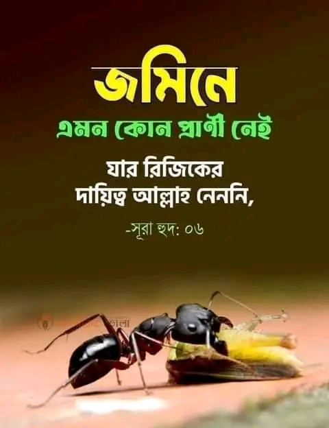 আবেগি পিক, আবেগি পিকচার, আবেগের পিকচার, আবেগি স্ট্যাটাস পিক, আবেগ হাত ধরা পিক, আবেগি মন পিক, আবেগি পিকচার ডাউনলোড, আবেগি মন পিকচার