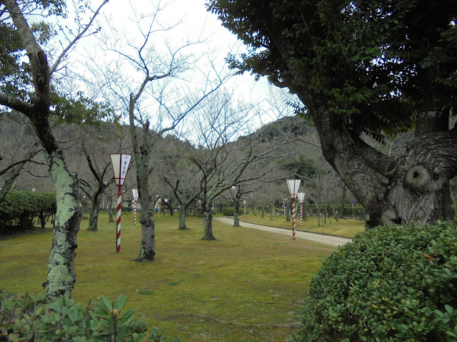 桜祭りもうすぐ