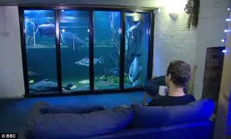 Biggest Home Aquarium in Britain by Jack Heathcote