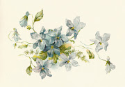 Free Flower Clip Art: Vintage Illustration of a Bunch of Blue ForgetMeNot . (wc )