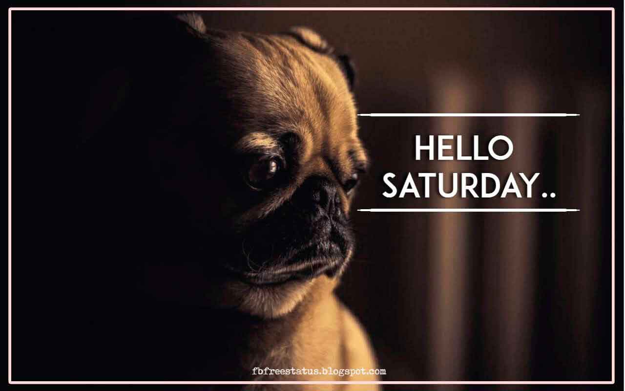 happy saturday morning quotes, Hello Saturday.