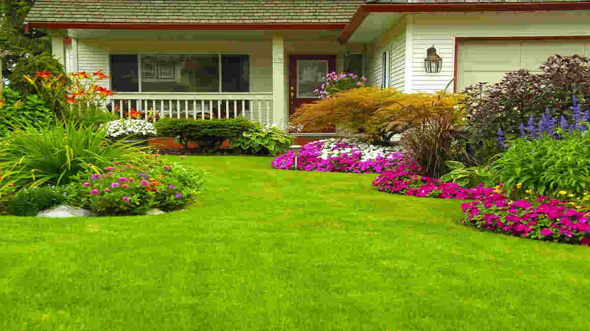 Cara Menata Taman di Depan Rumah agar Terlihat Cantik