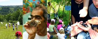 Séjours nature pour enfants et visites