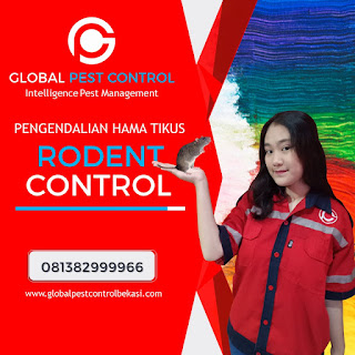 Call : 081382999966 Jasa Pembasmi Tikus di Cibeunying Kidul Bandung