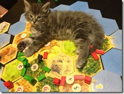 the grey fuzz catan