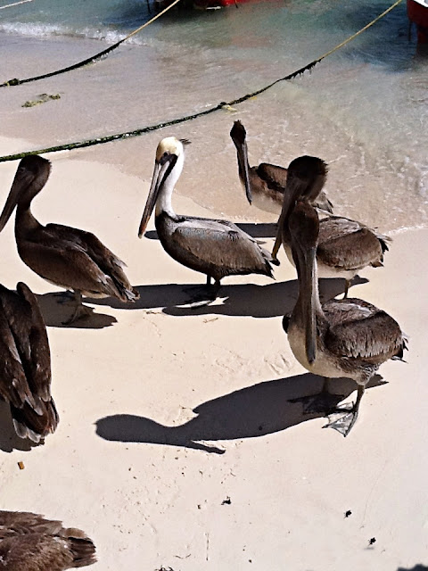 Playa del Carmen